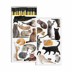 Box Of Matches I 5 prints